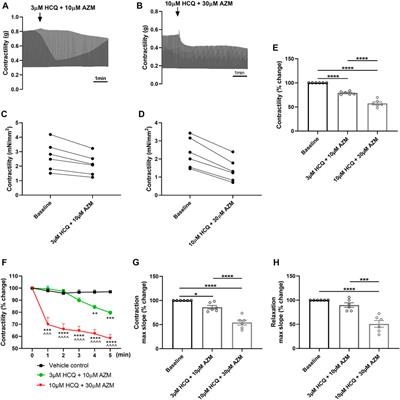 Hydroxychloroquine and azithromycin alter the contractility of living porcine heart slices